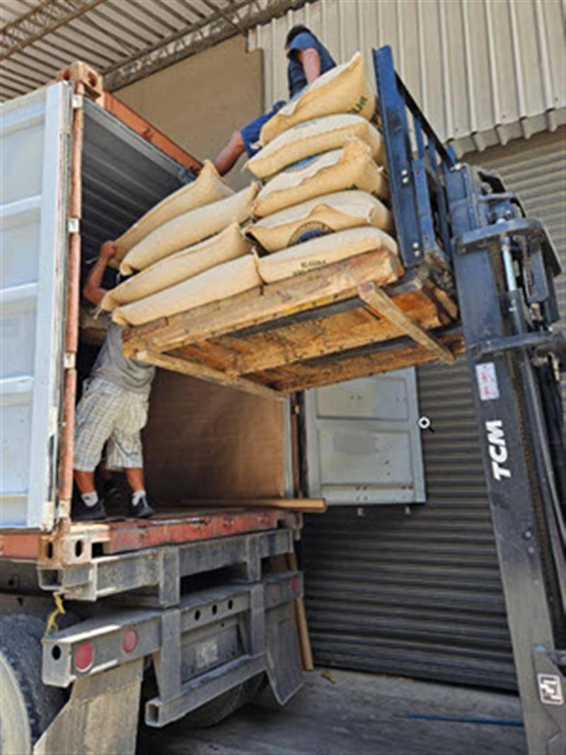 Einzeln werden die Säcke in den Container verstaut, um den ganzen Raum zu füllen.