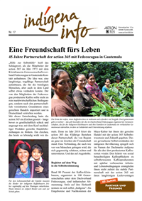 indígena info Nr. 17